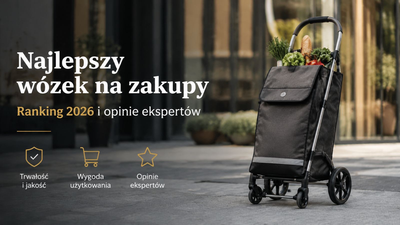 Najlepszy wózek na zakupy – Ranking 2026 i opinie ekspertów